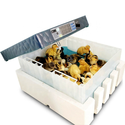 BFI 128-EGGS INCUBATOR