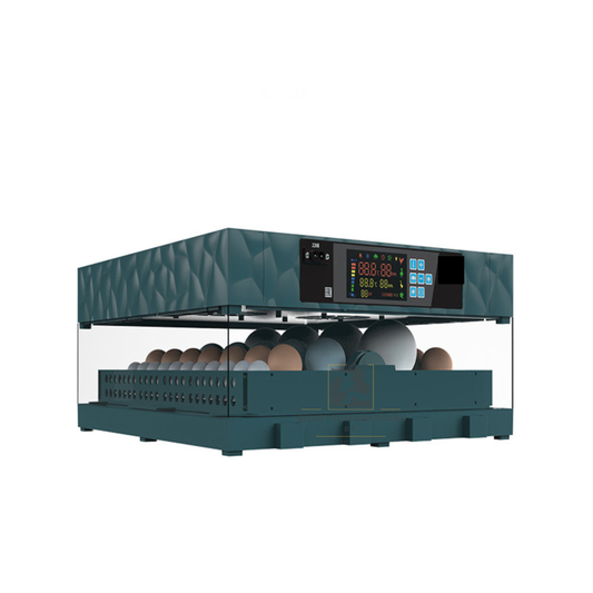 BFI 64-egg incubator